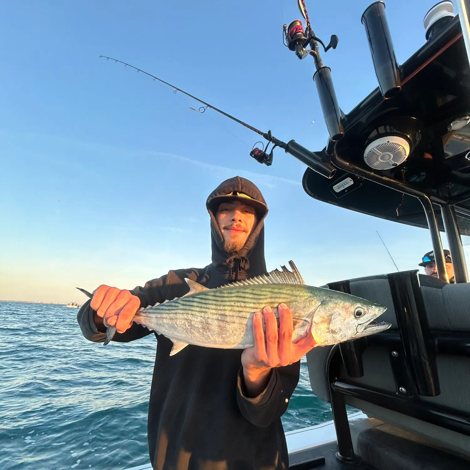 The most recent Atlantic bonito catches on Fishbrain