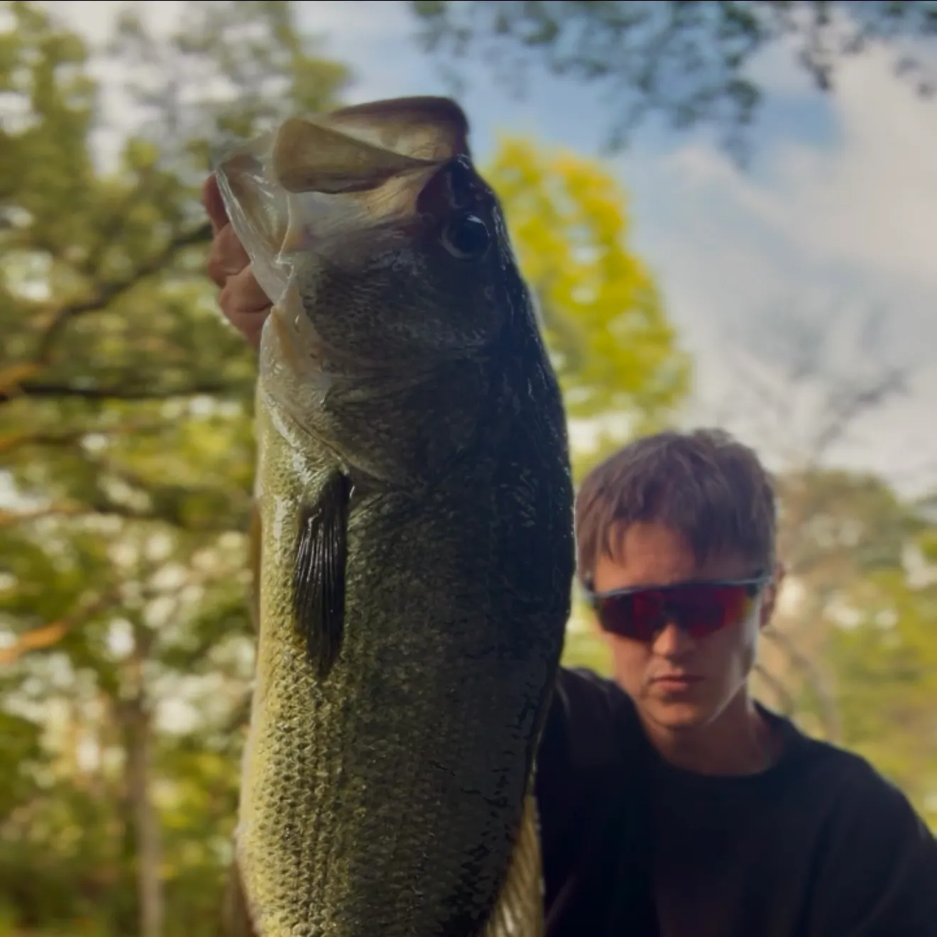 Largemouth bass caught on Fishbrain