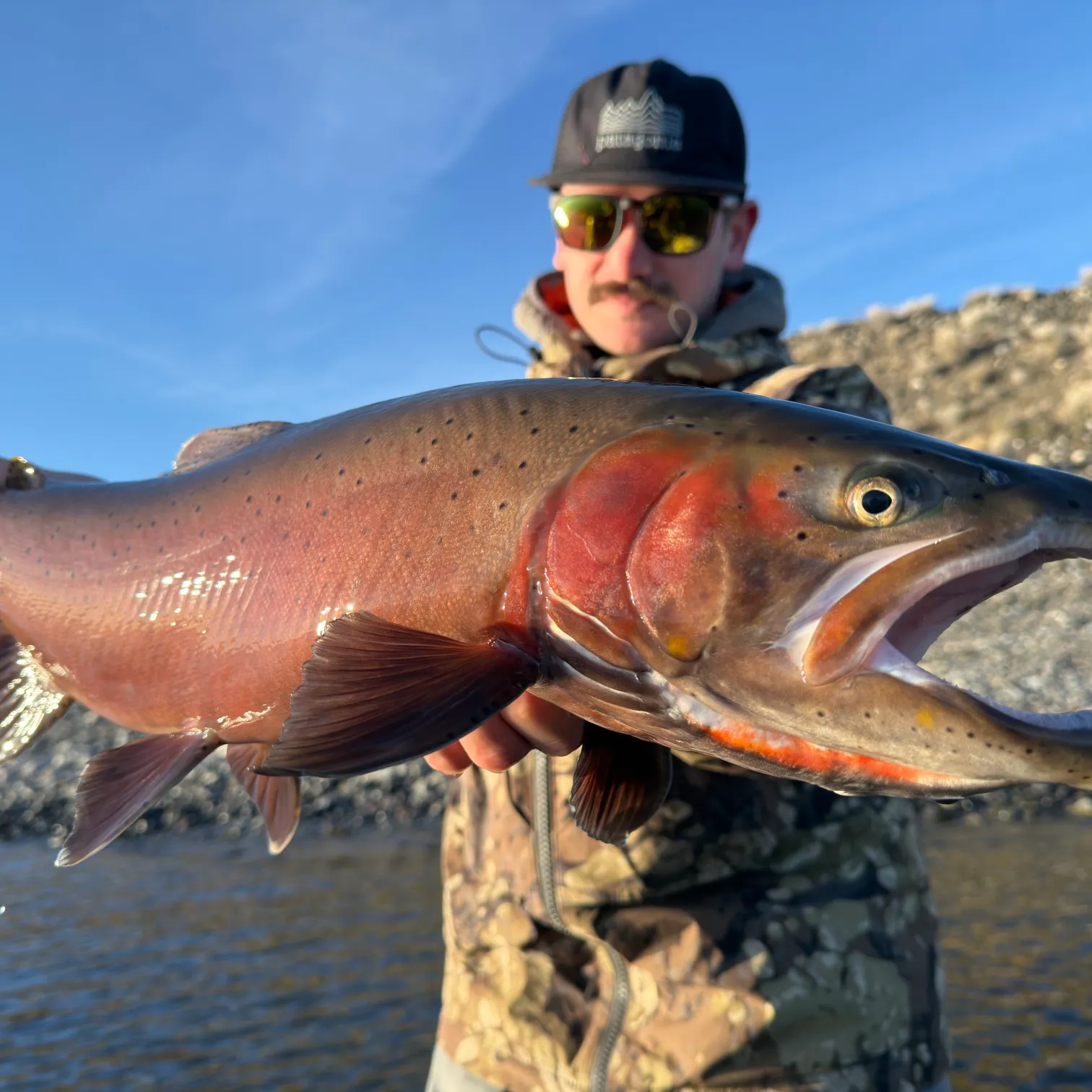 The most recent Lahontan cutthroat trout catches on Fishbrain