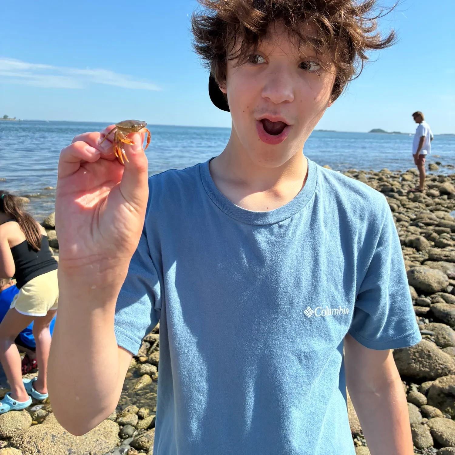 The most recent Atlantic rock crab catches on Fishbrain