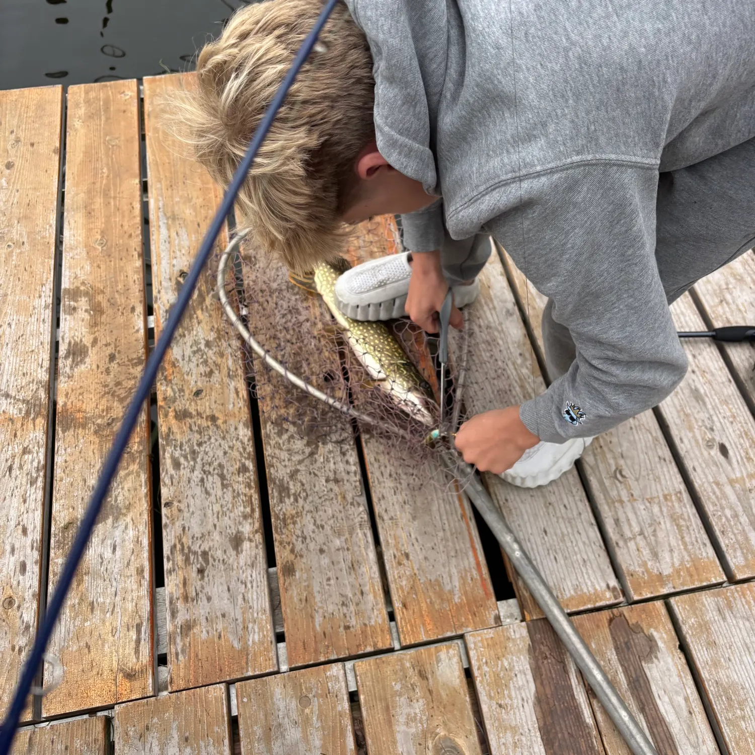 Northern pike caught on Fishbrain