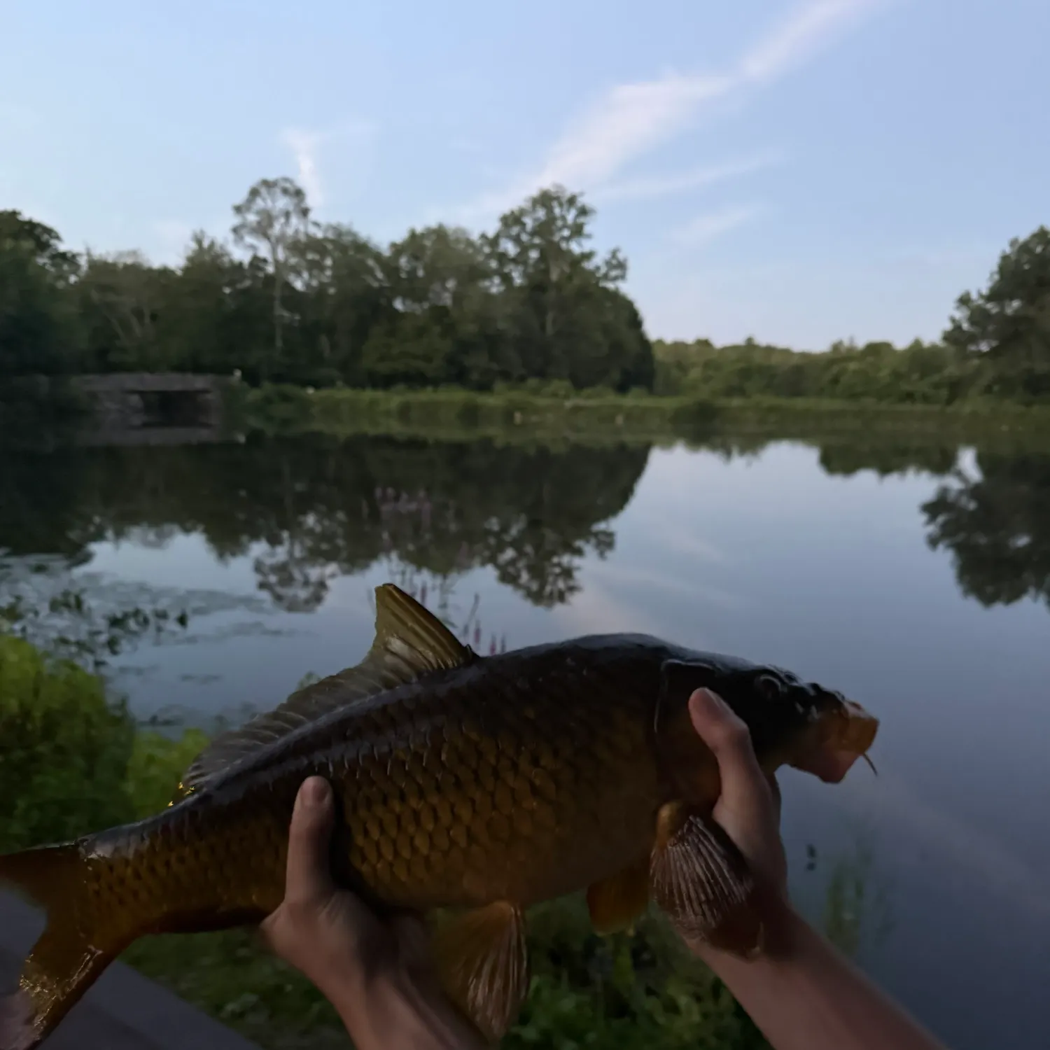 catch