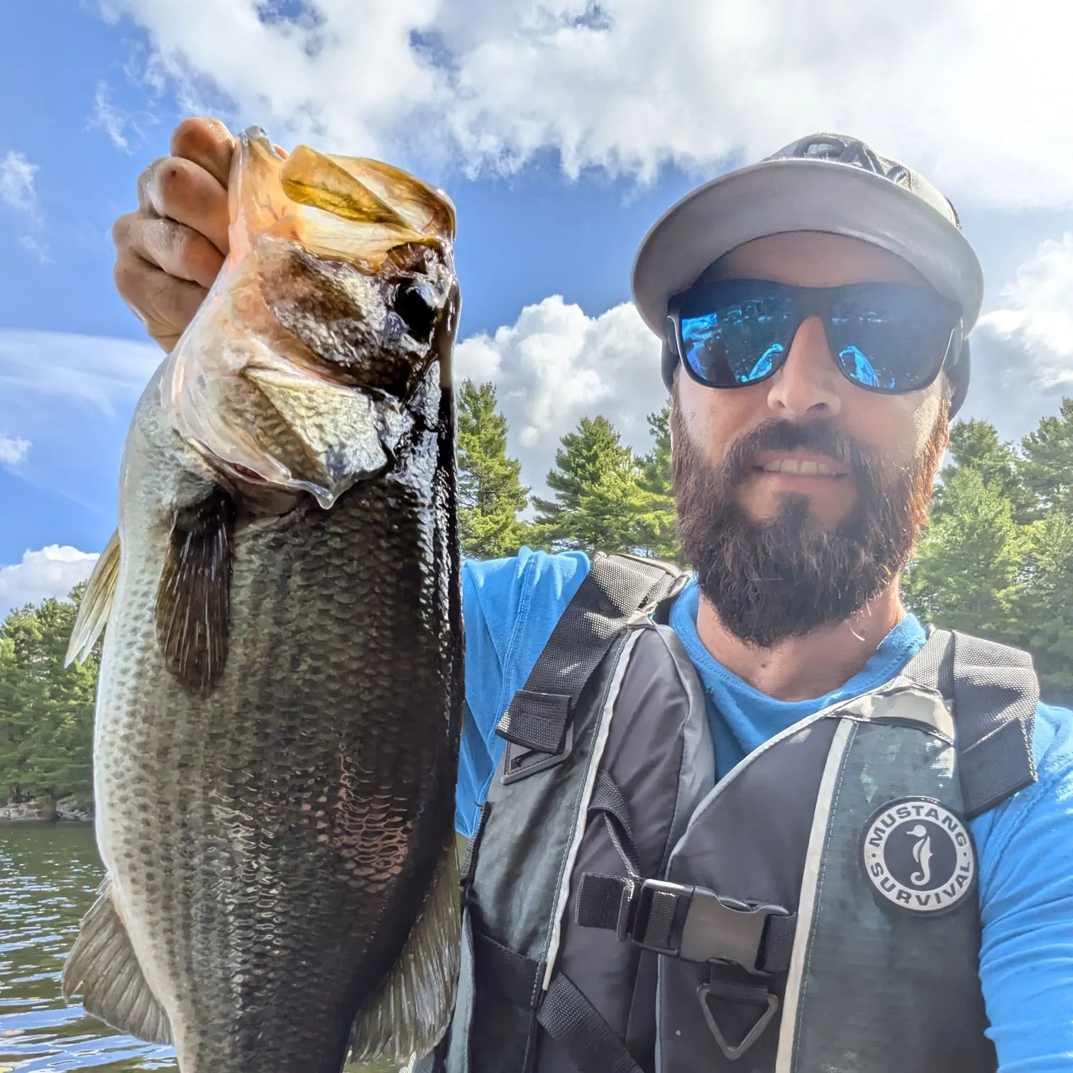 Largemouth bass caught on Fishbrain