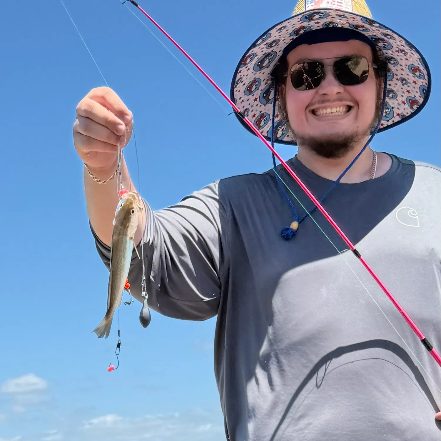 The most recent Atlantic silverside catches on Fishbrain