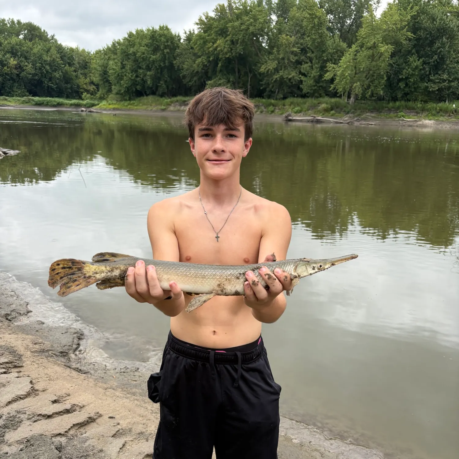 The most recent Longnose gar catches on Fishbrain