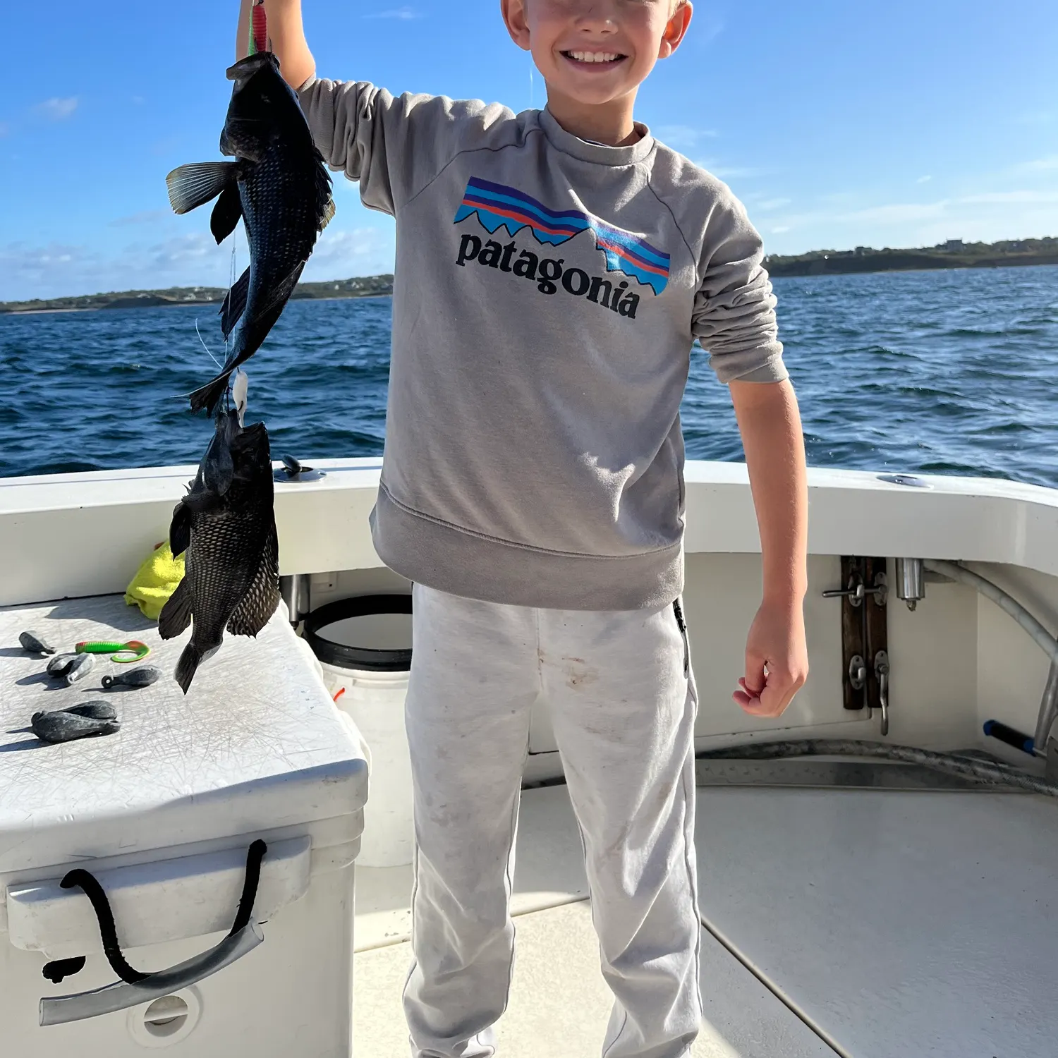 The most recent Black sea bass catches on Fishbrain