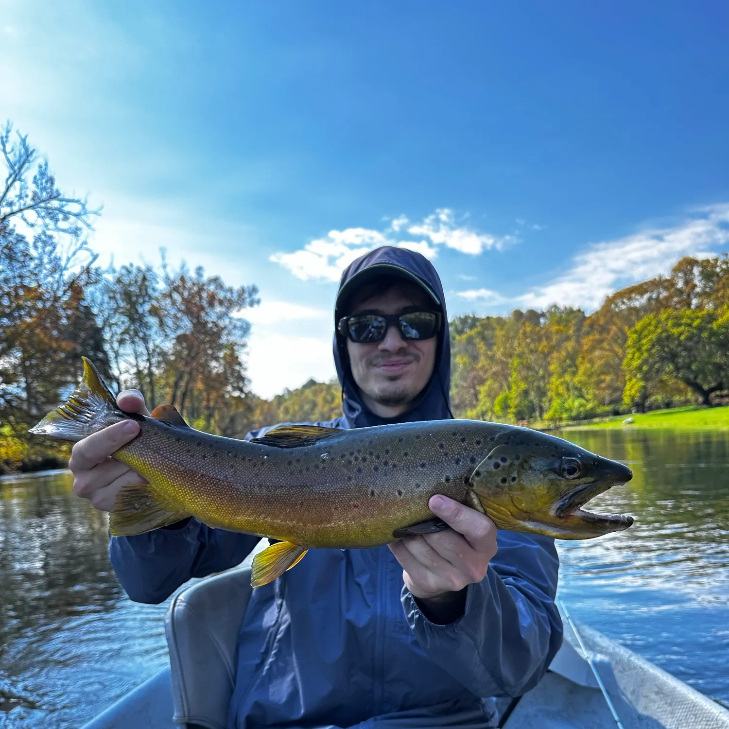 Brown trout caught on Fishbrain