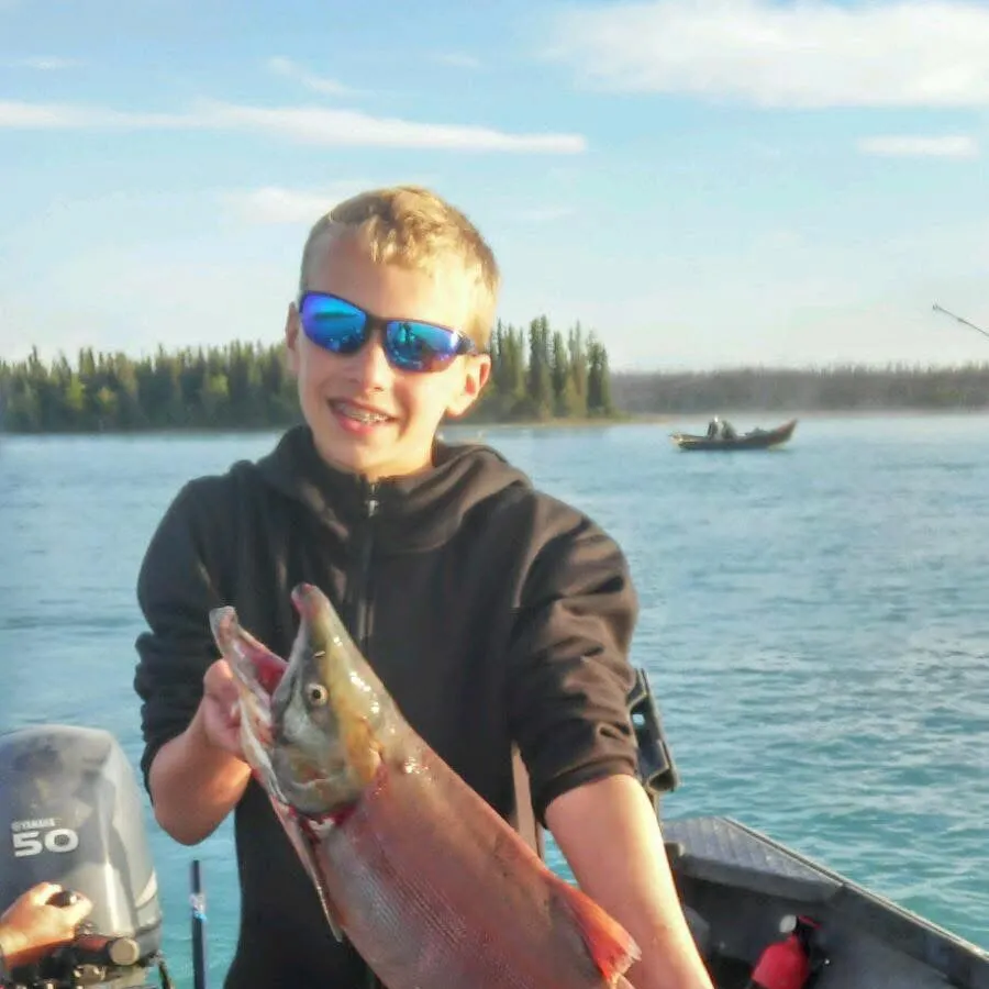 The most recent Sockeye salmon catches on Fishbrain