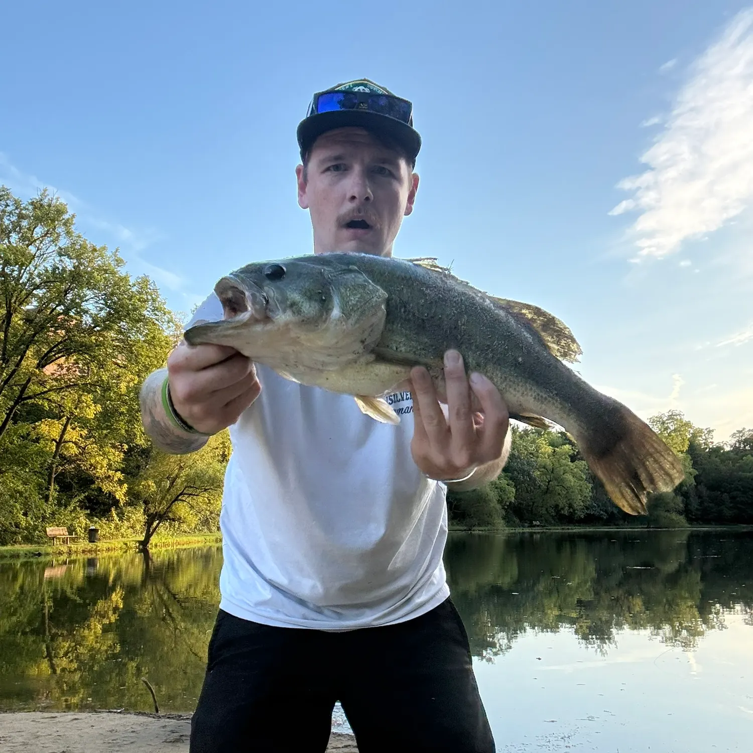 Largemouth bass caught on Fishbrain