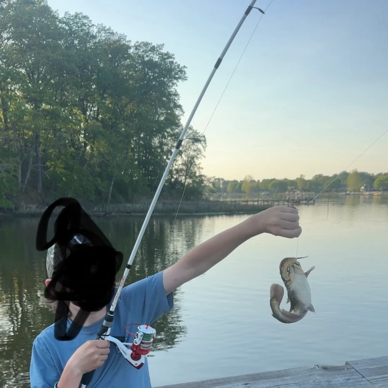 Channel catfish caught on Fishbrain