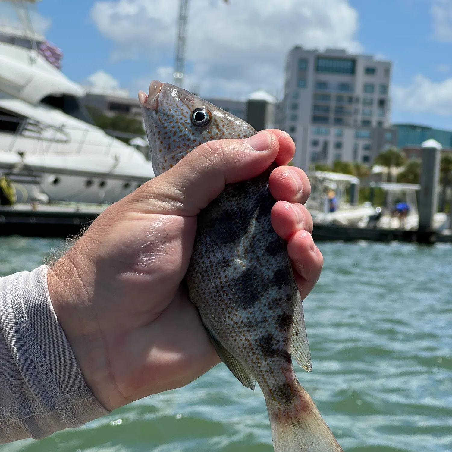 catch