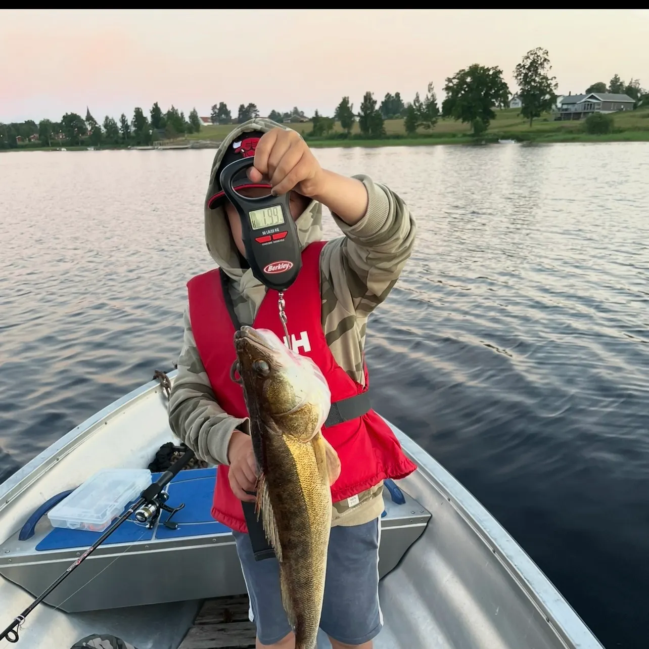 The most recent Zander catches on Fishbrain