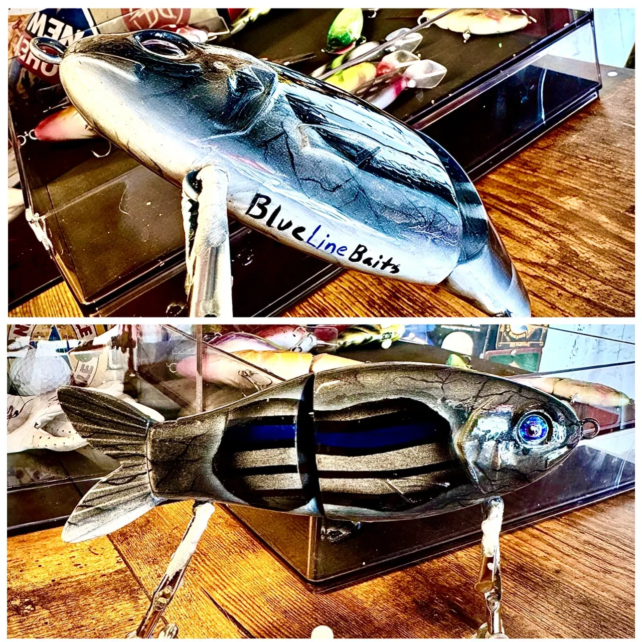 The most recent Mooneye catches on Fishbrain