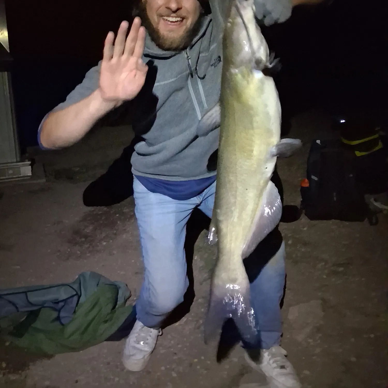 Channel catfish caught on Fishbrain