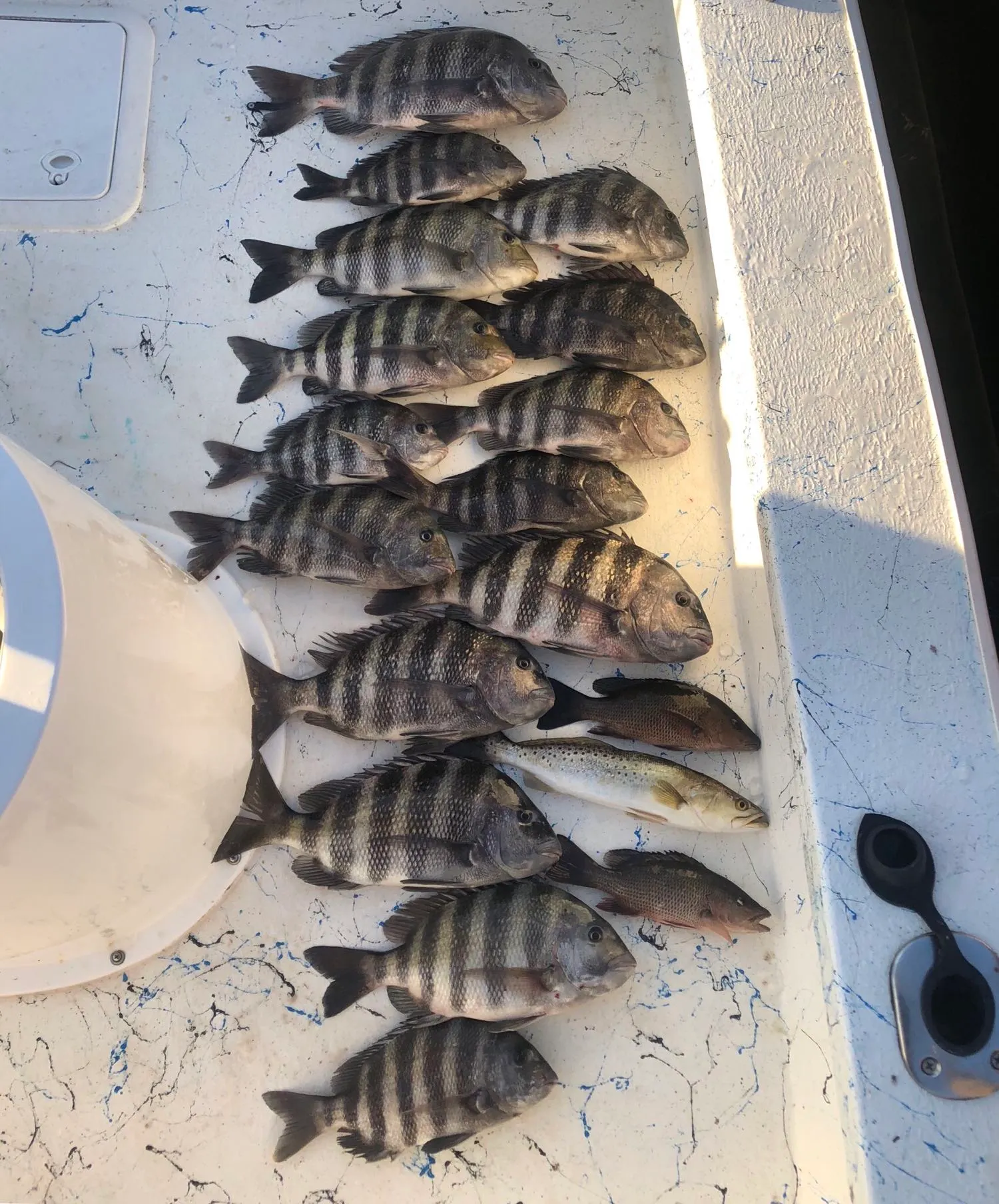 Post image from SlotMachineFishingCharters