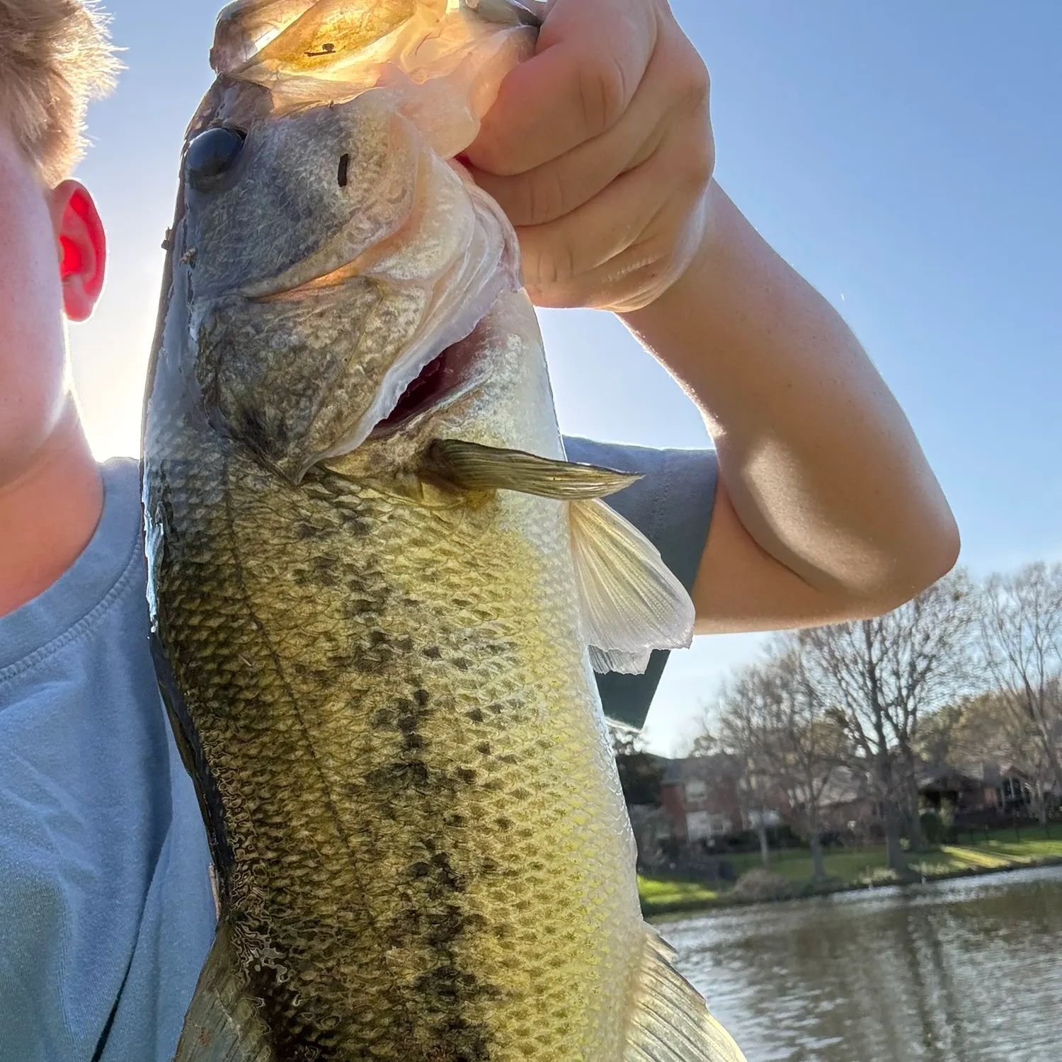 The most recent Largemouth bass catches on Fishbrain