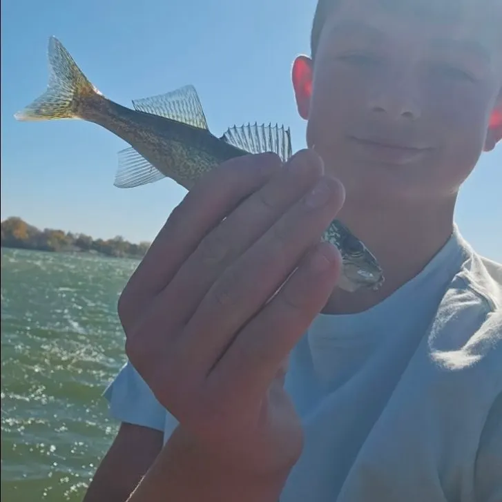 Walleye caught on Fishbrain