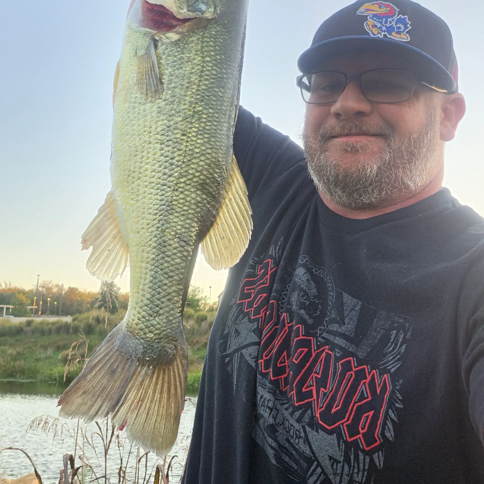 Largemouth bass caught on Fishbrain
