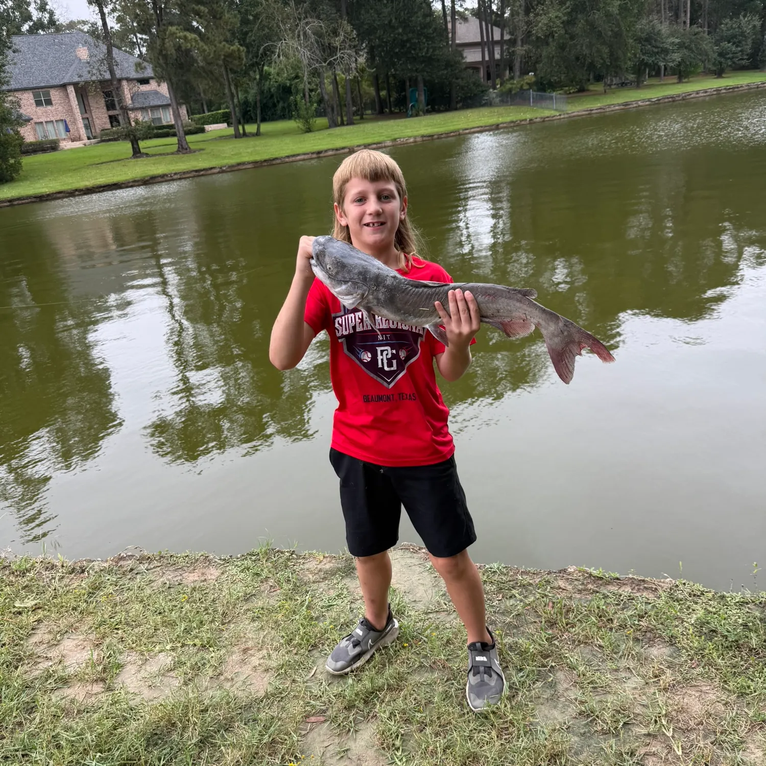 Blue catfish caught on Fishbrain