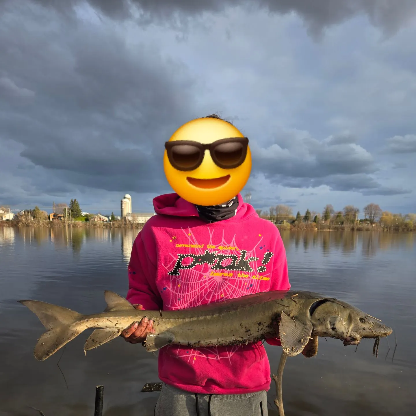 The most recent Lake sturgeon catches on Fishbrain