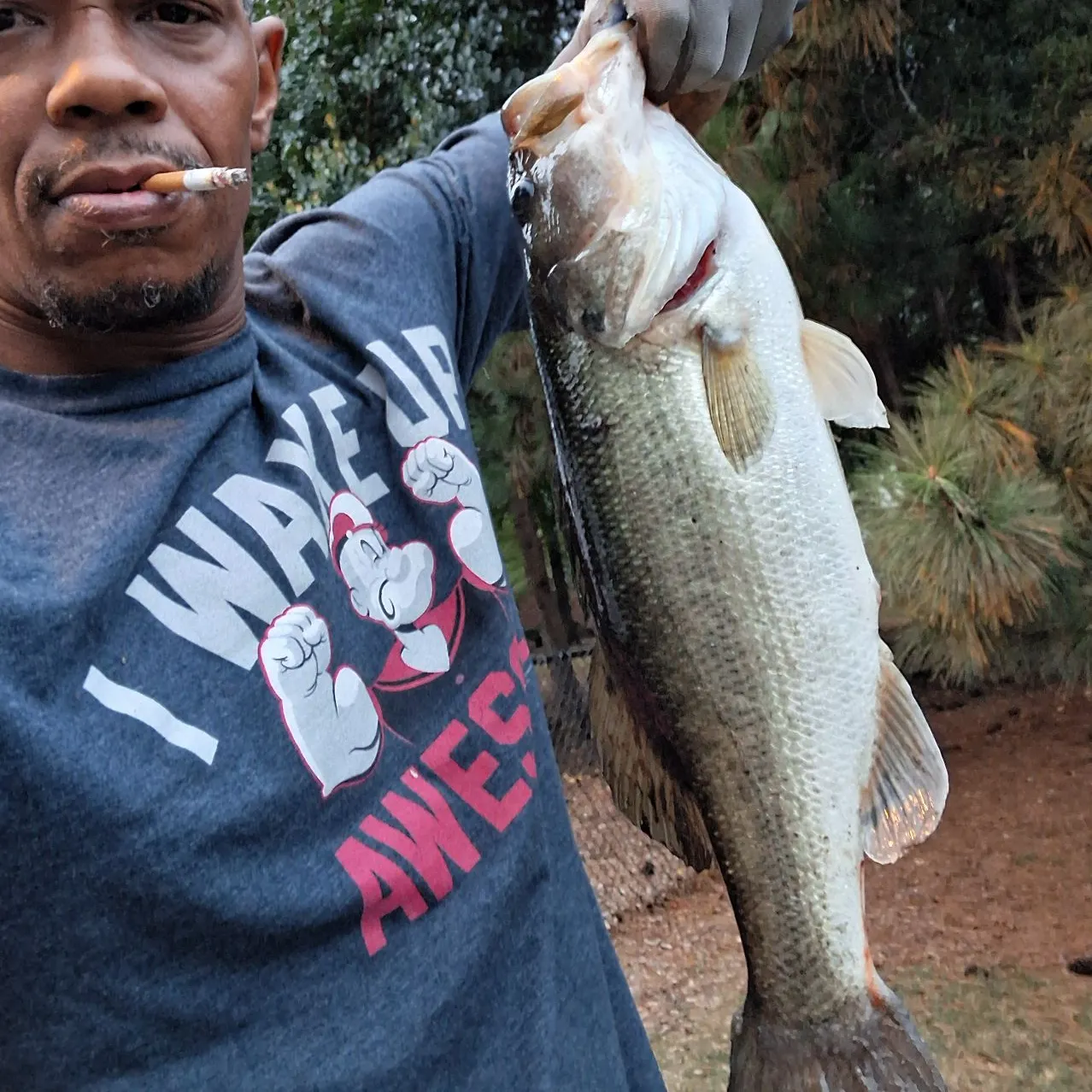 Largemouth bass caught on Fishbrain