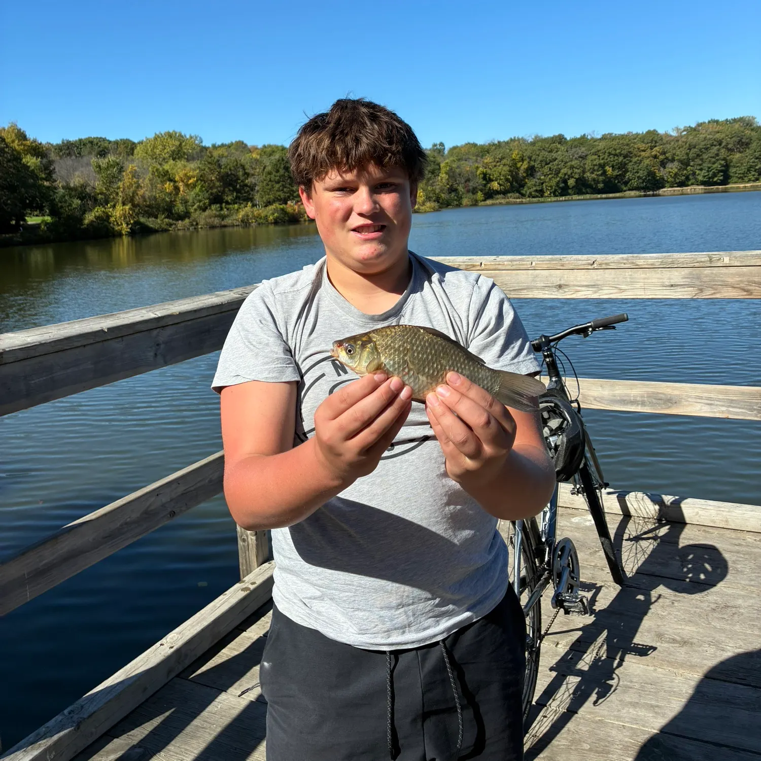 The most recent F1 carp catches on Fishbrain