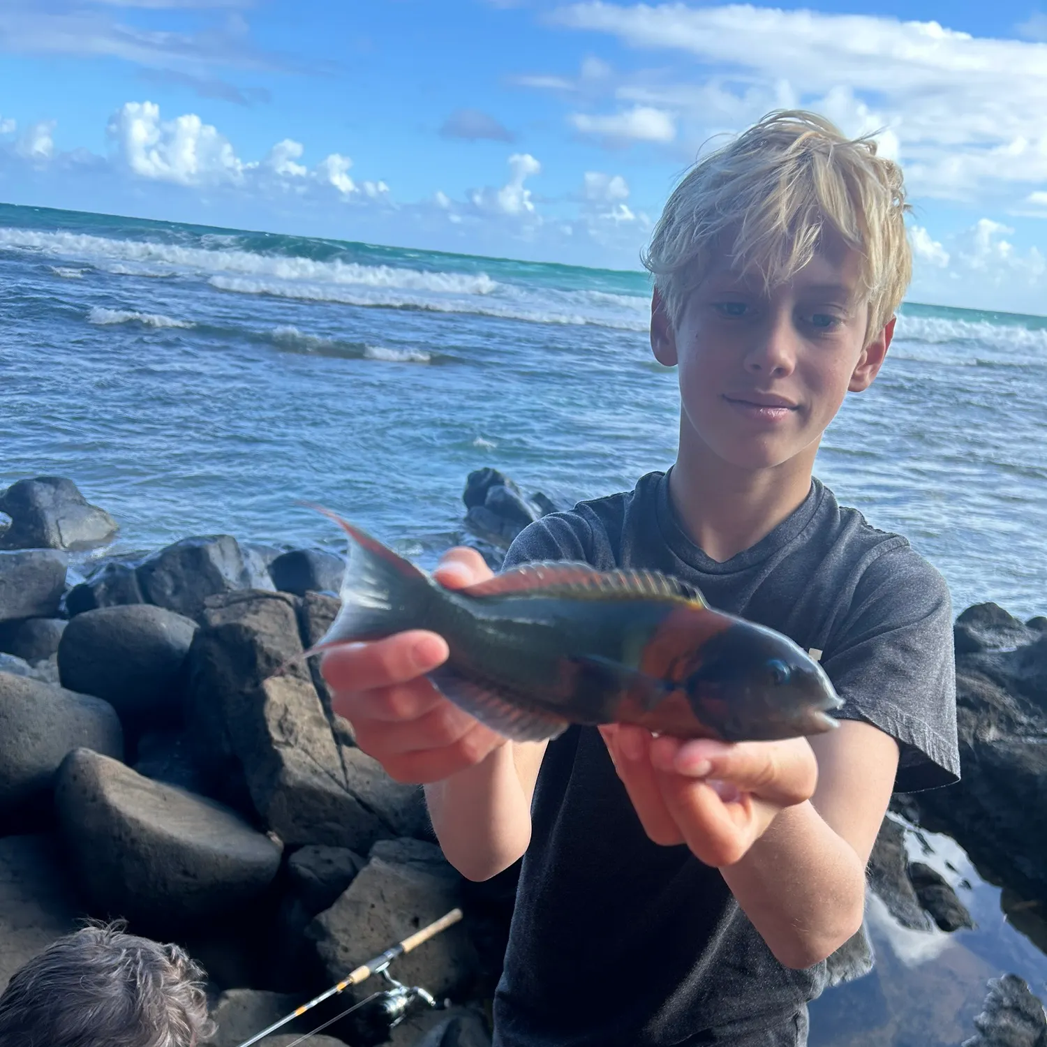 The most recent Cuckoo wrasse catches on Fishbrain