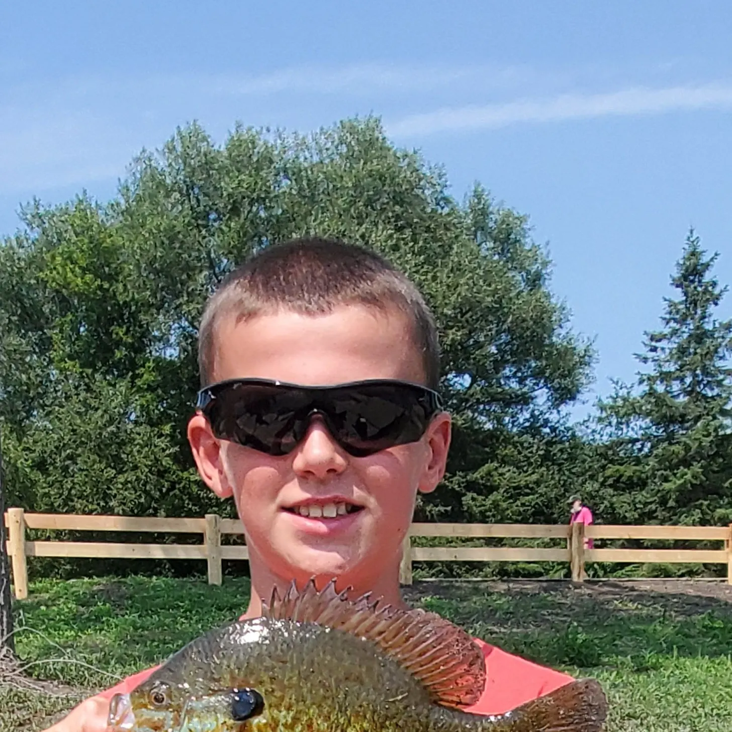 Pumpkinseed x green sunfish caught on Fishbrain