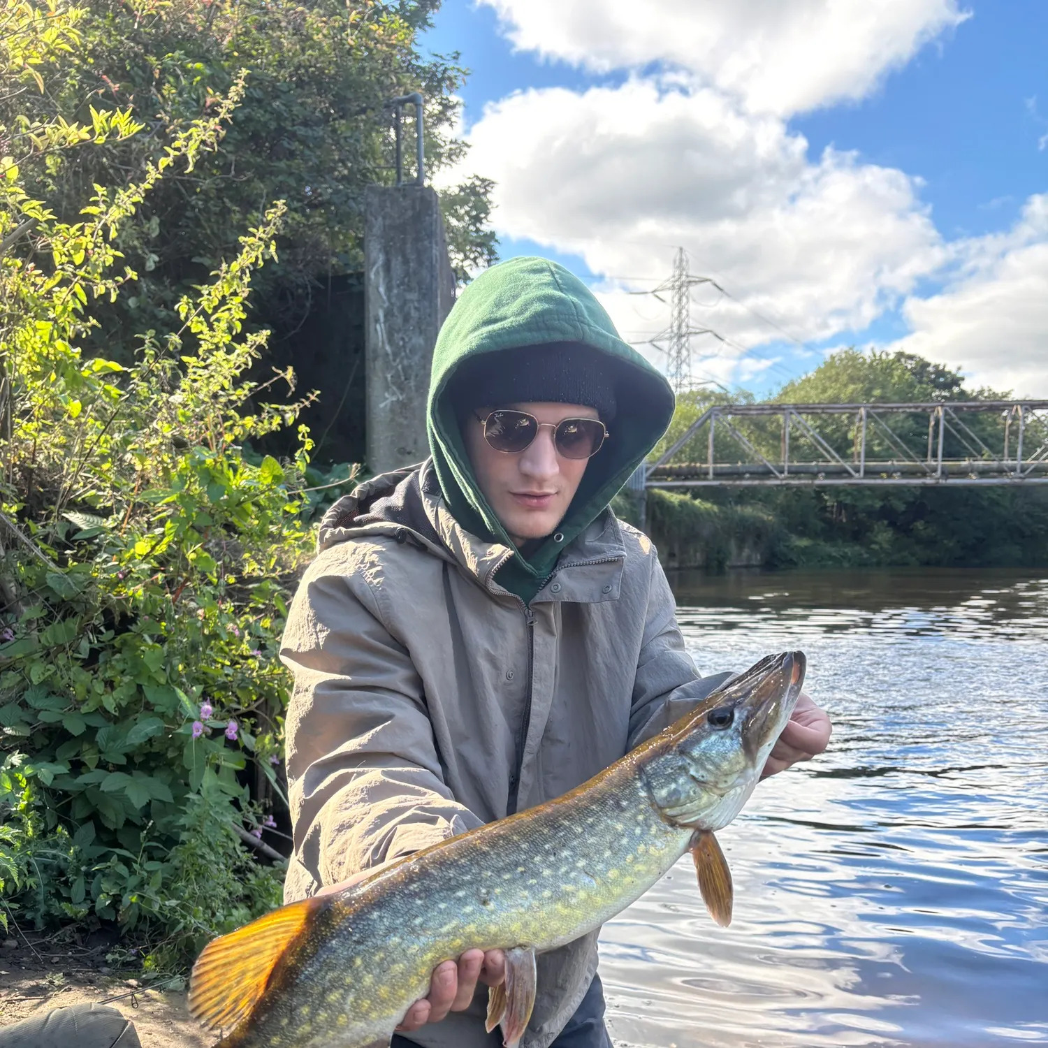 Northern pike caught on Fishbrain