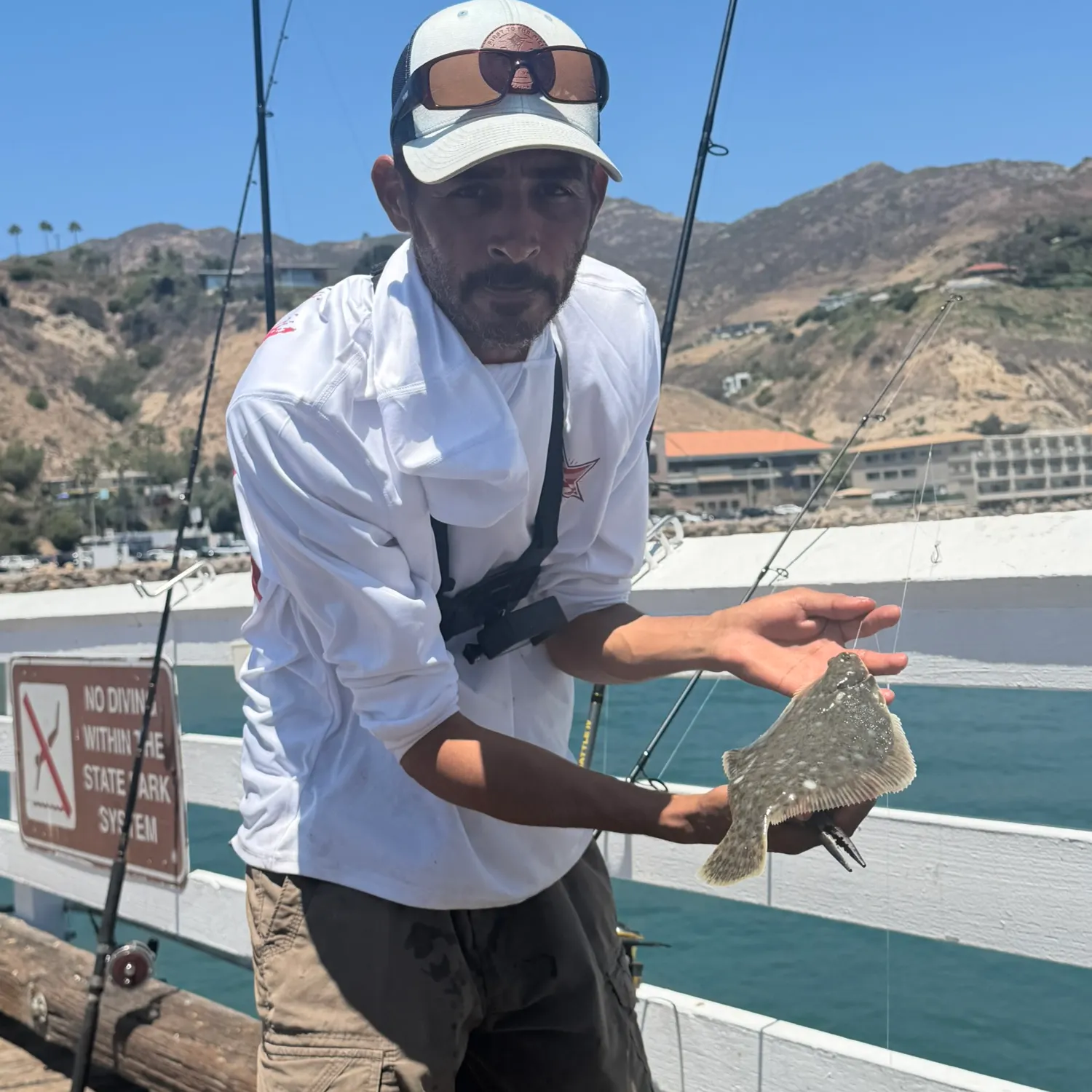 The most recent Turbot catches on Fishbrain