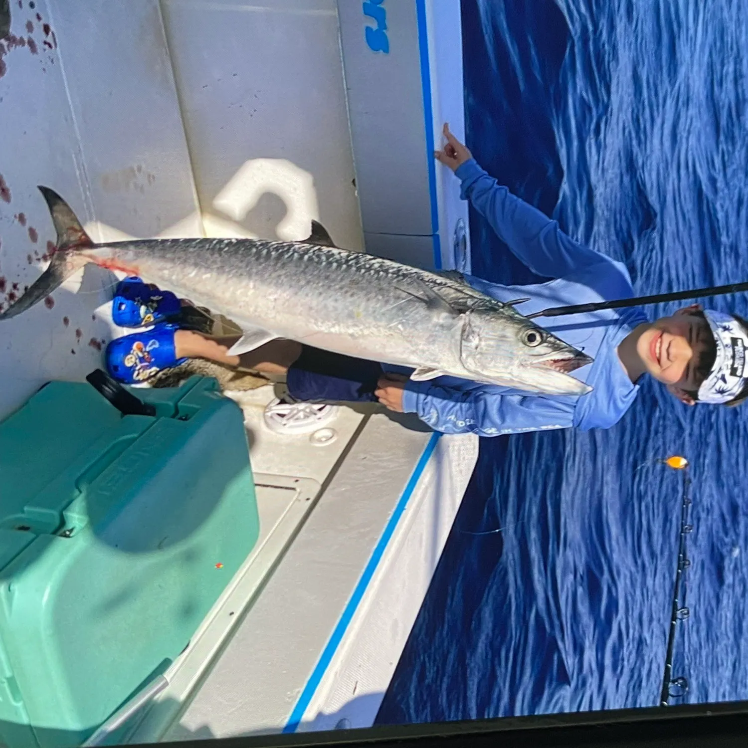 King mackerel caught on Fishbrain