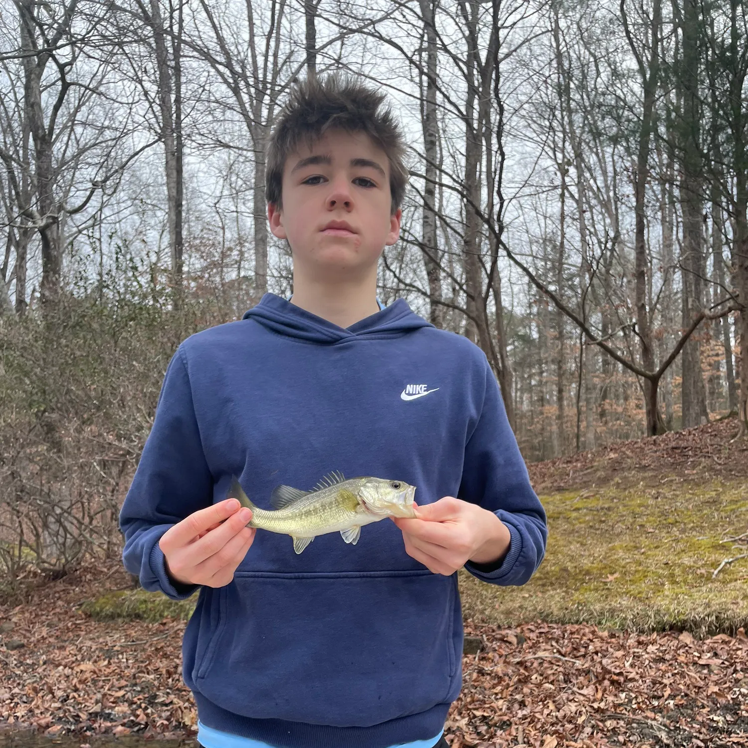 The most recent Great white shark catches on Fishbrain