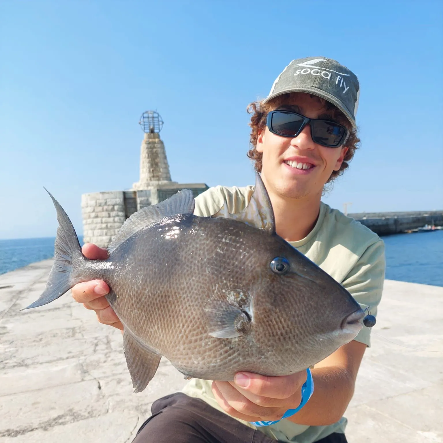 The most recent Grey triggerfish catches on Fishbrain