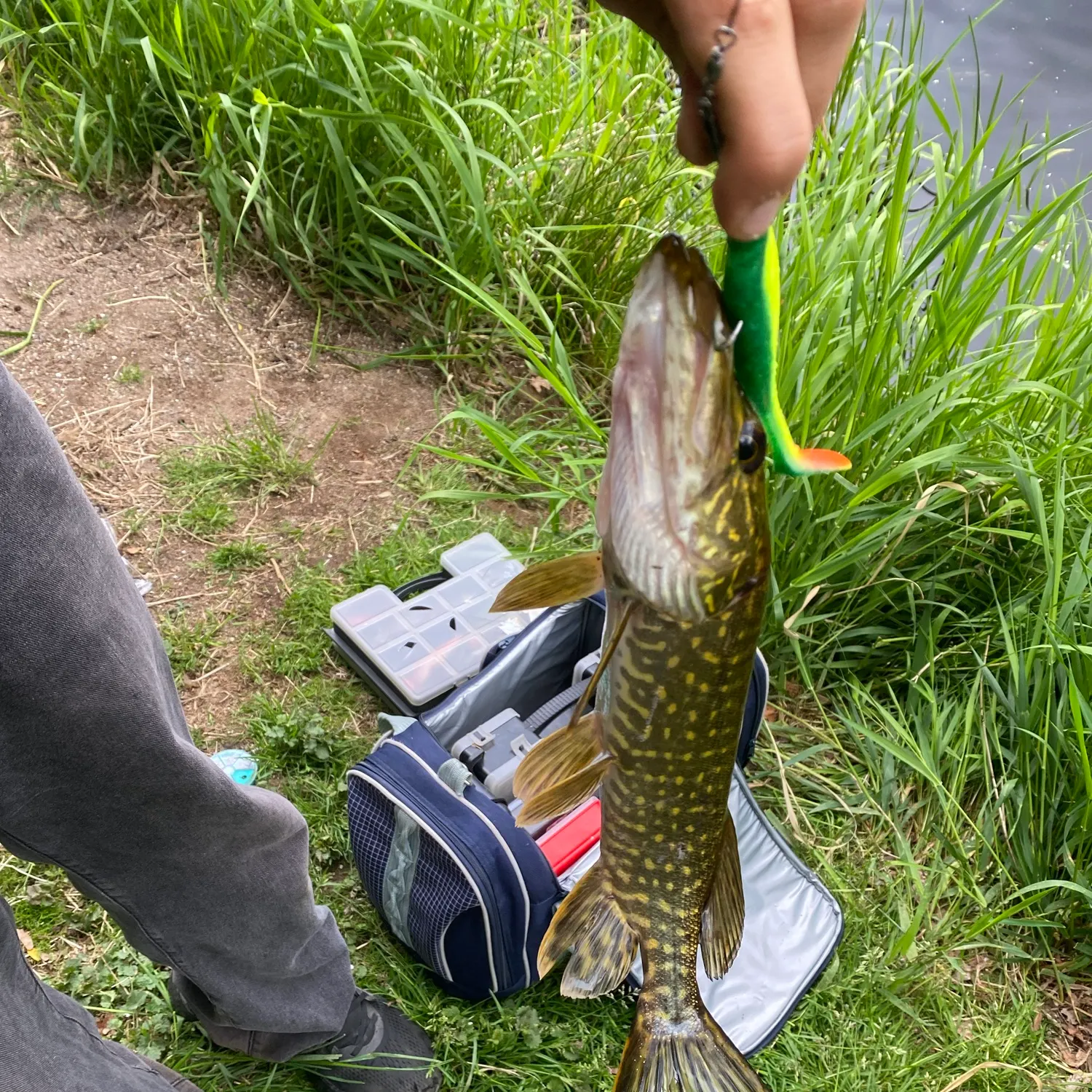 catch