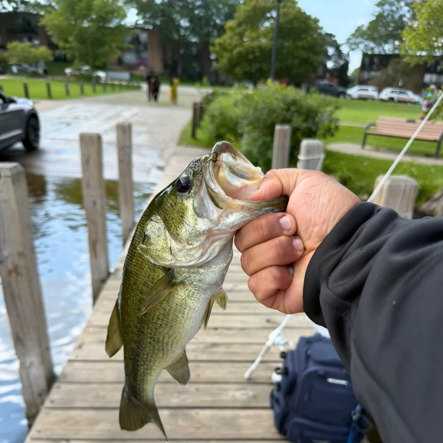 catch