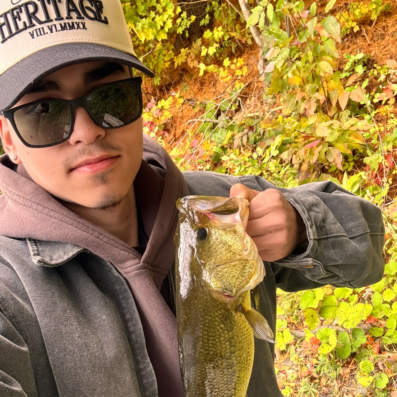 Largemouth bass caught on Fishbrain
