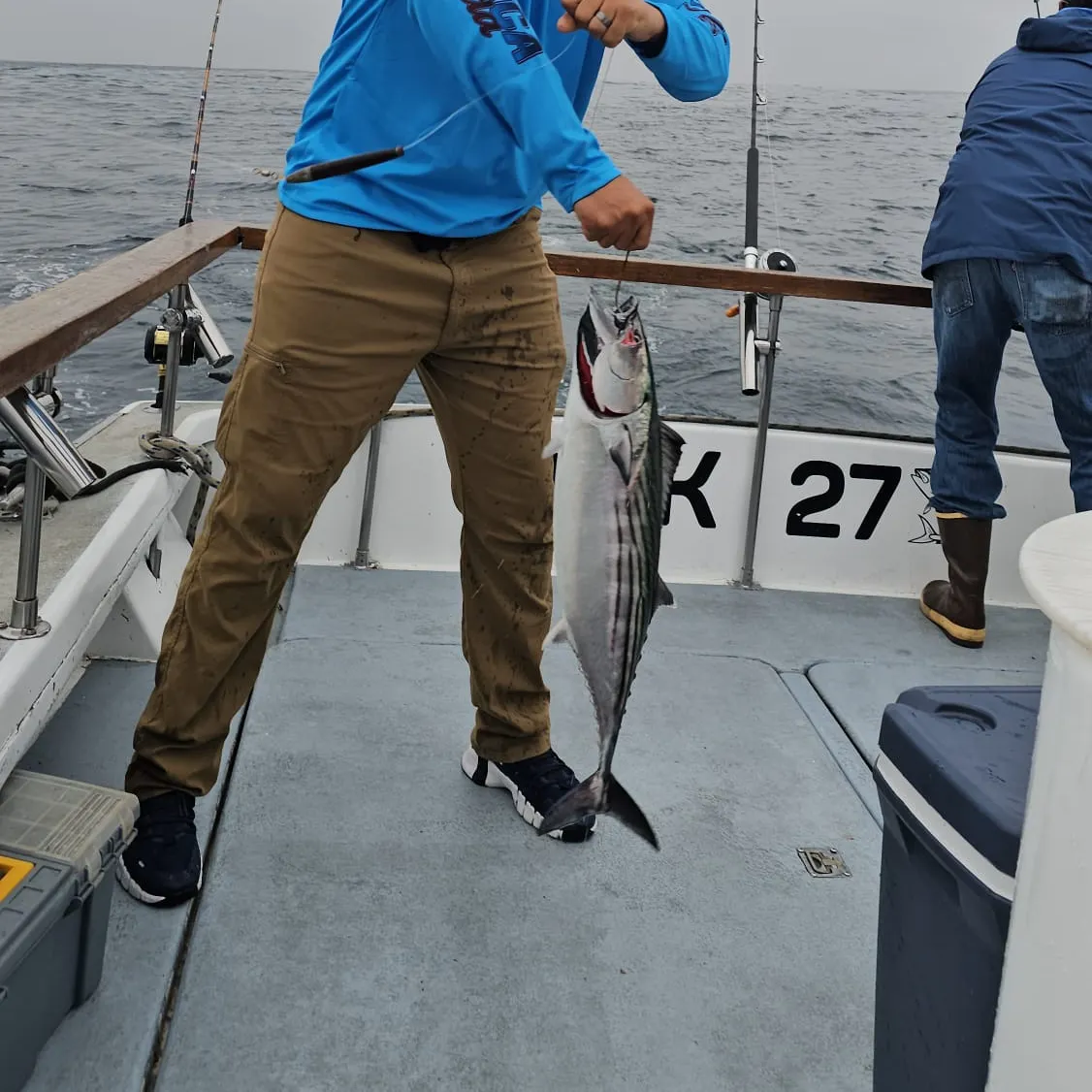 The most recent Pacific bonito catches on Fishbrain