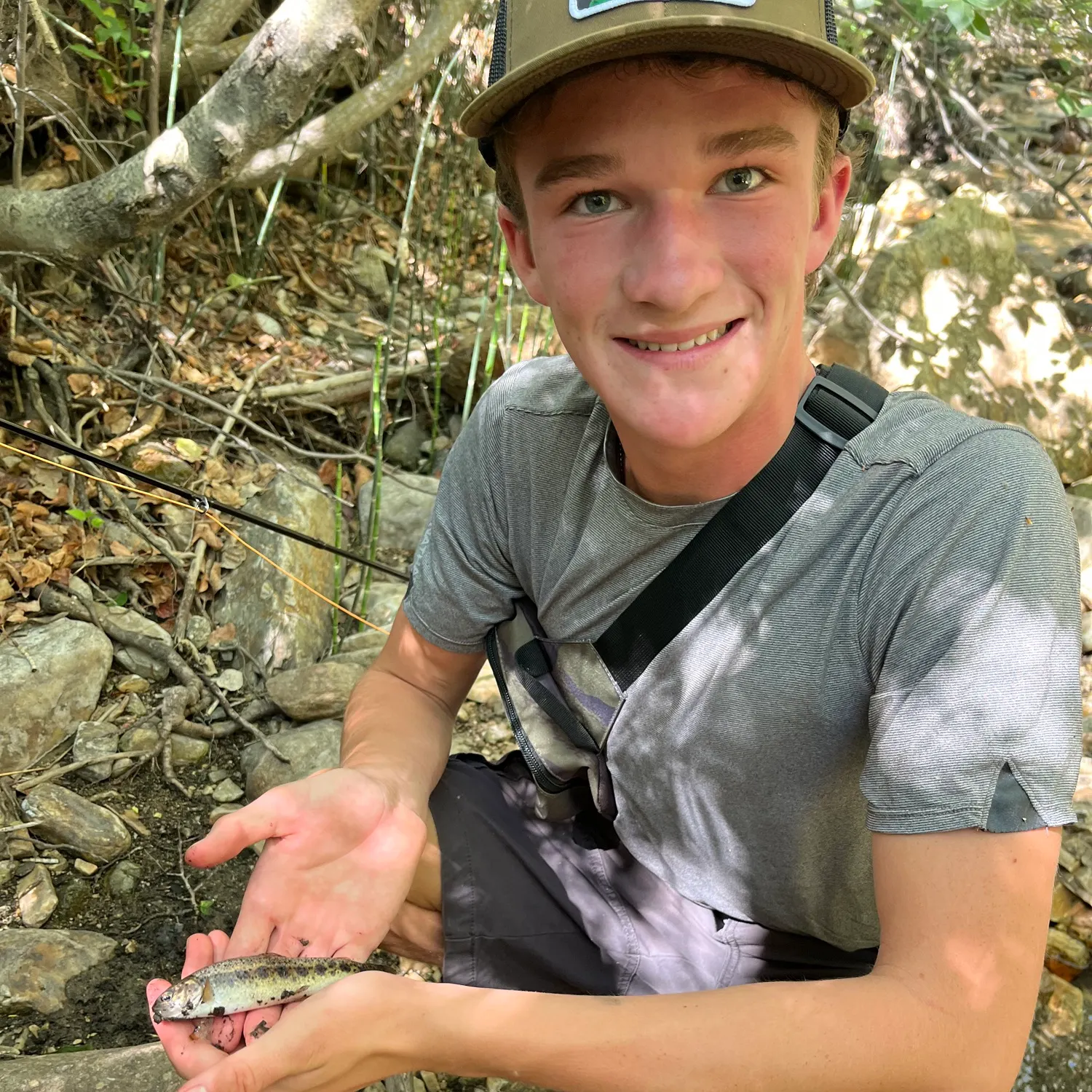 The most recent Yellowstone cutthroat trout catches on Fishbrain