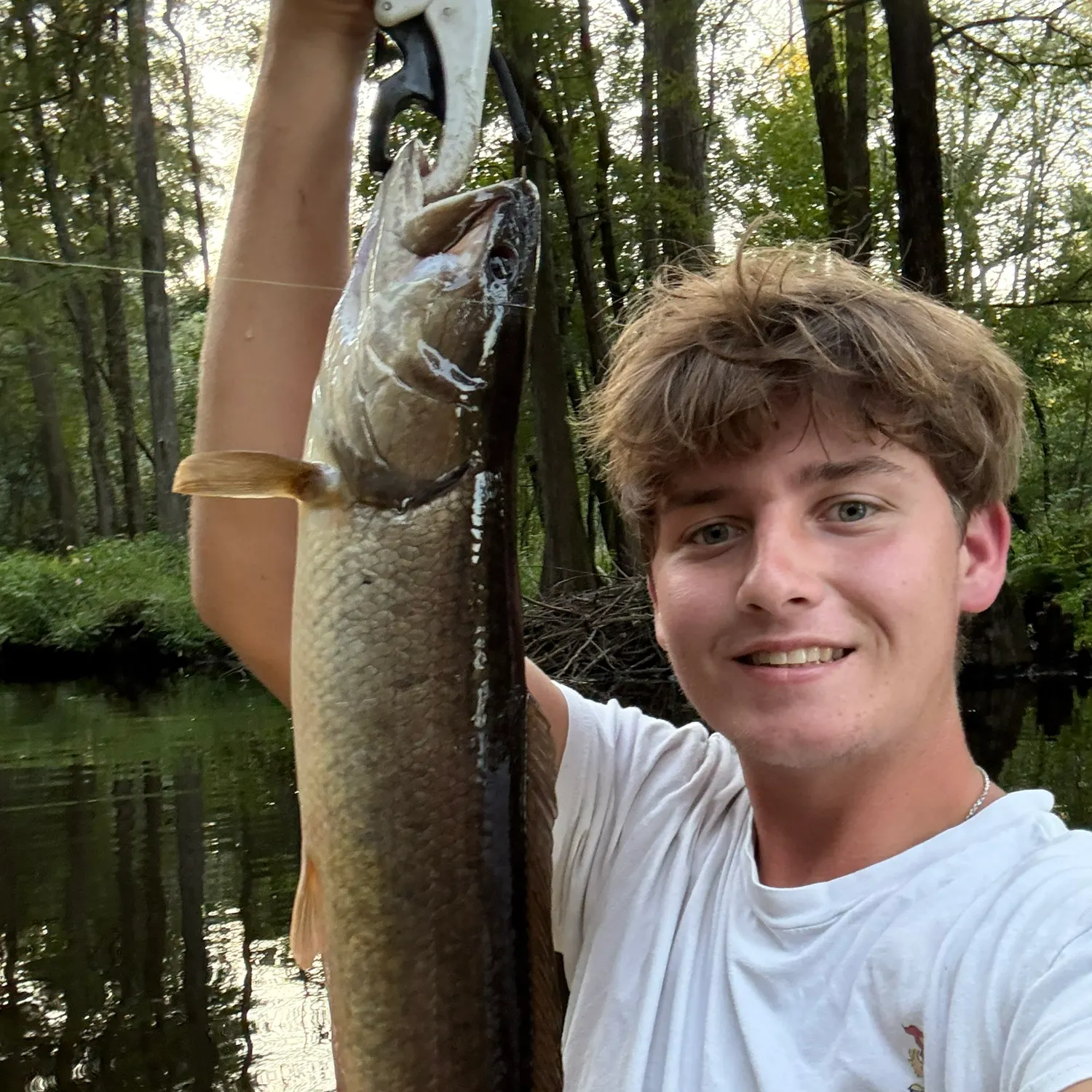 The most recent Ruddy bowfin catches on Fishbrain