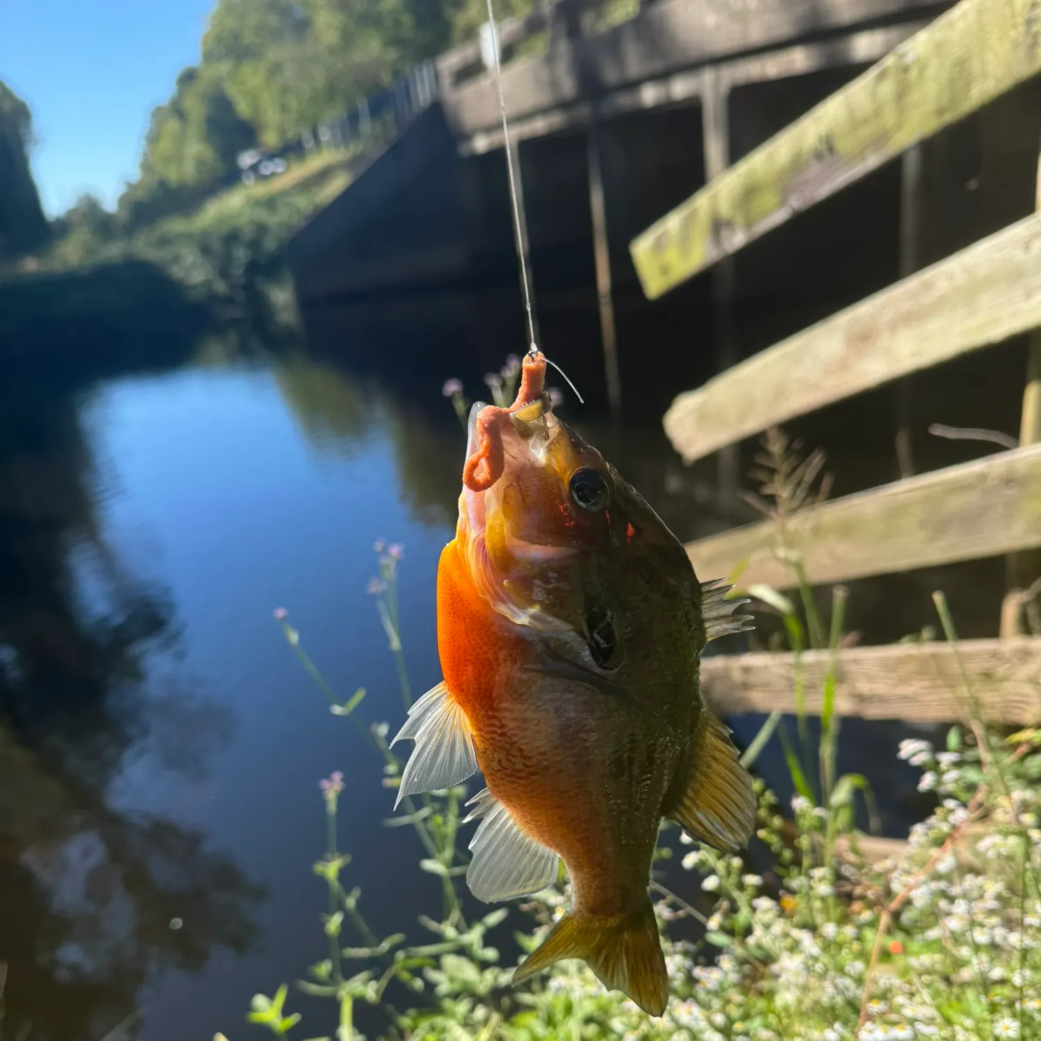 catch