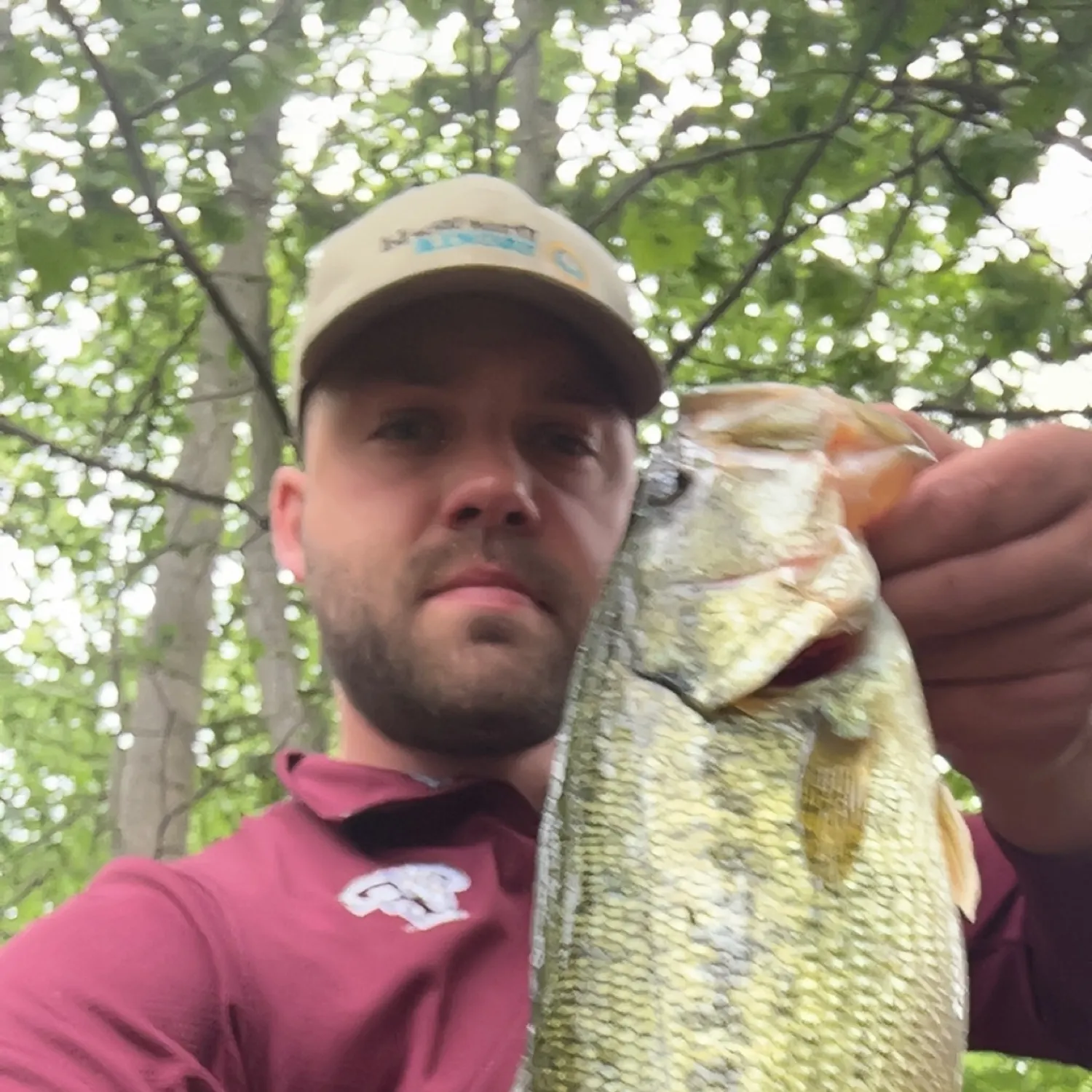 angler catch