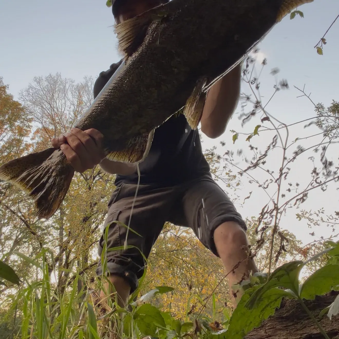 Chinook salmon caught on Fishbrain