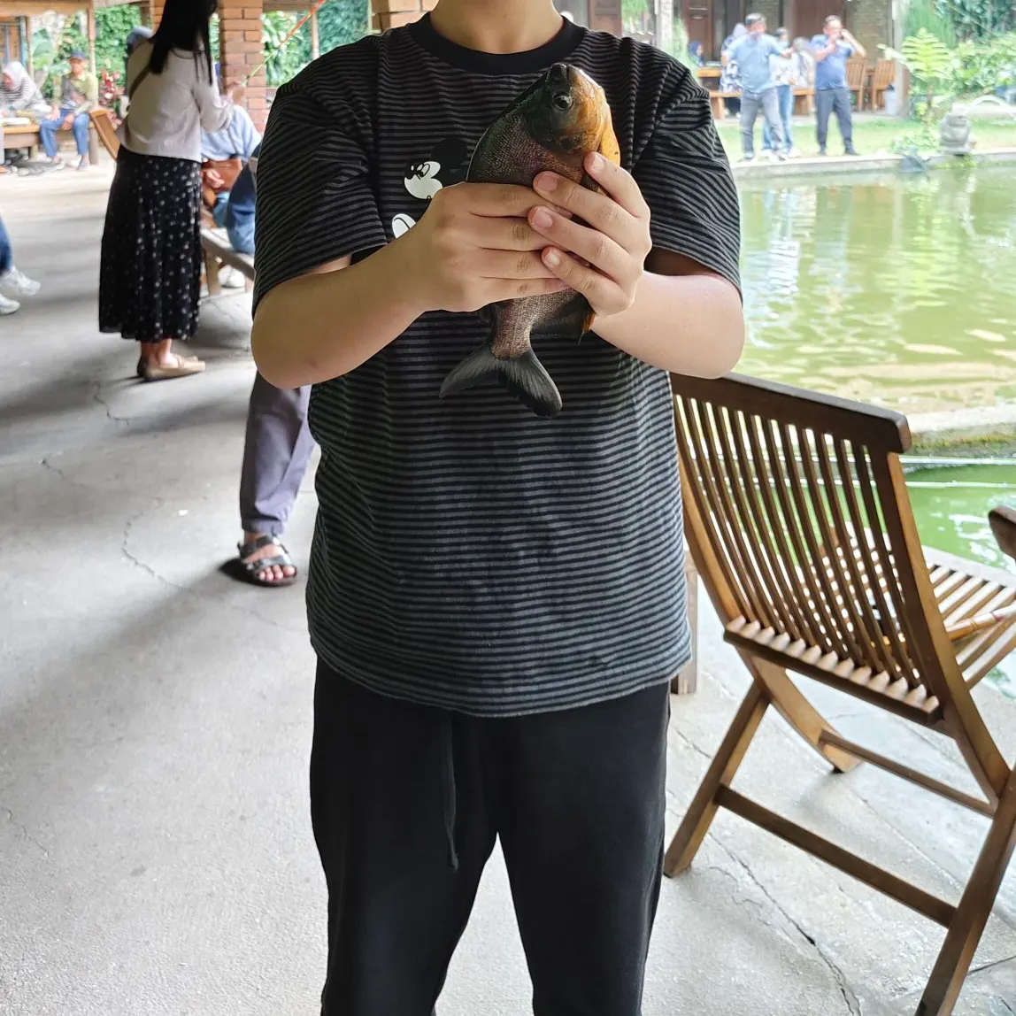 The most recent Red-bellied pacu catches on Fishbrain