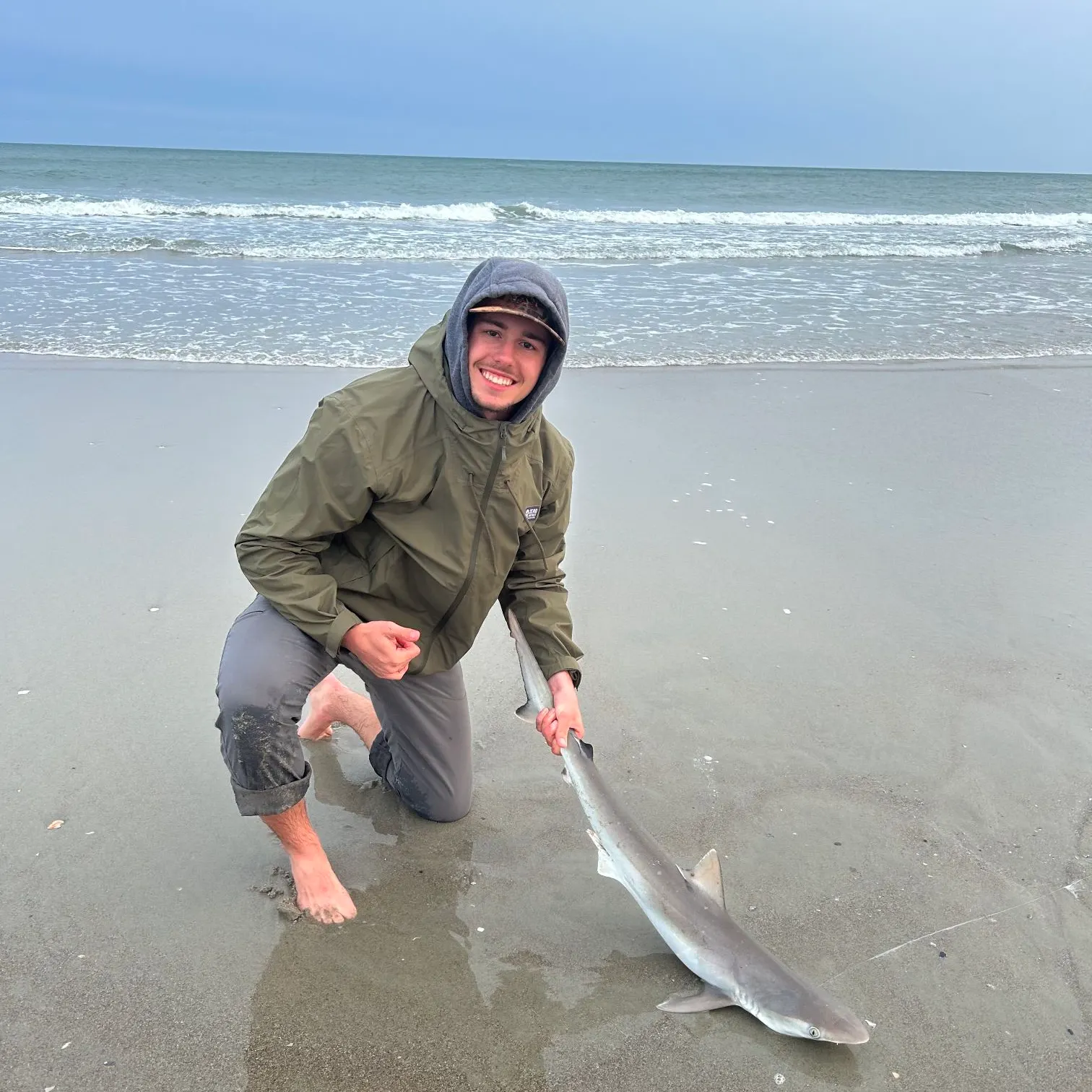 The most recent Atlantic sharpnose shark catches on Fishbrain