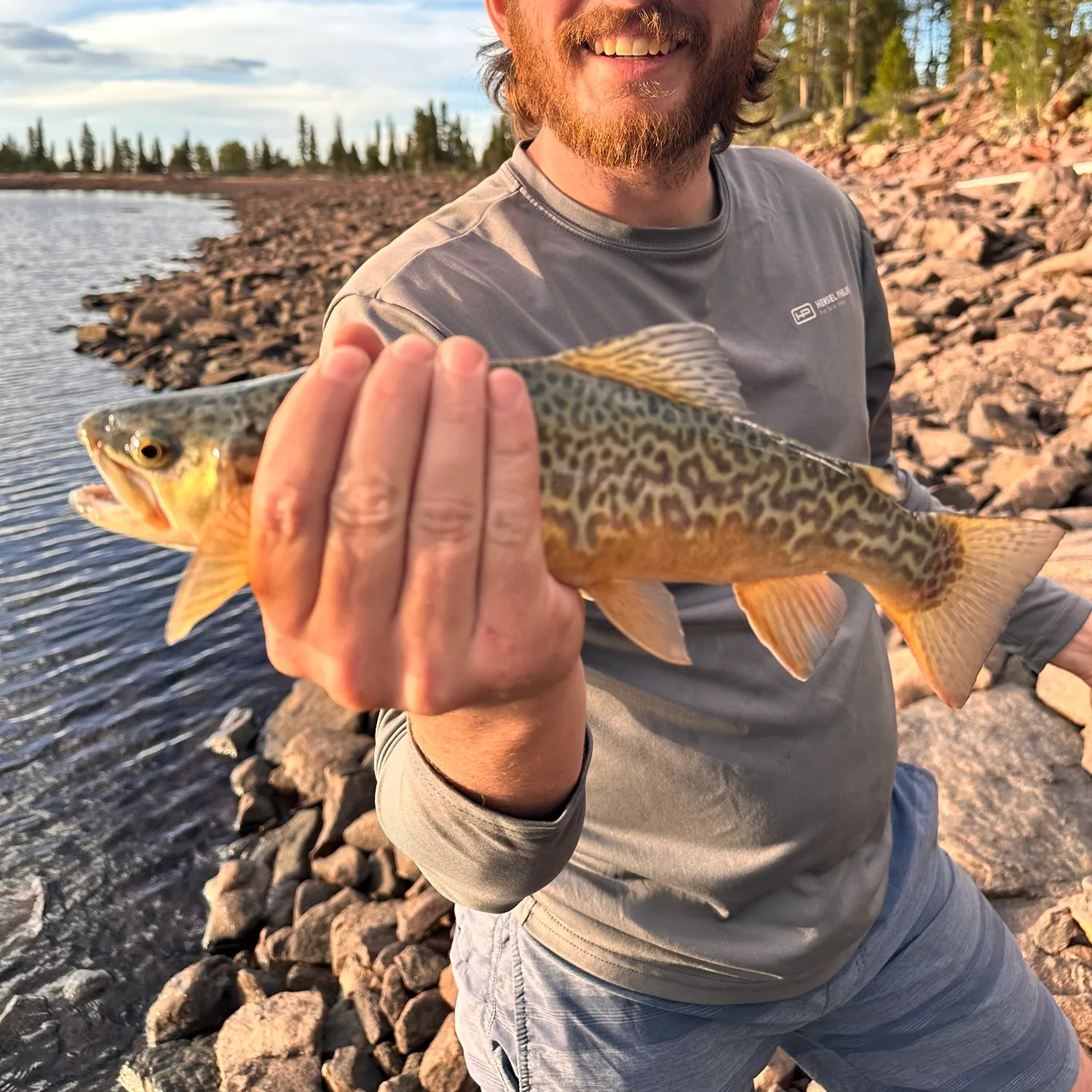 The most recent Tiger trout catches on Fishbrain