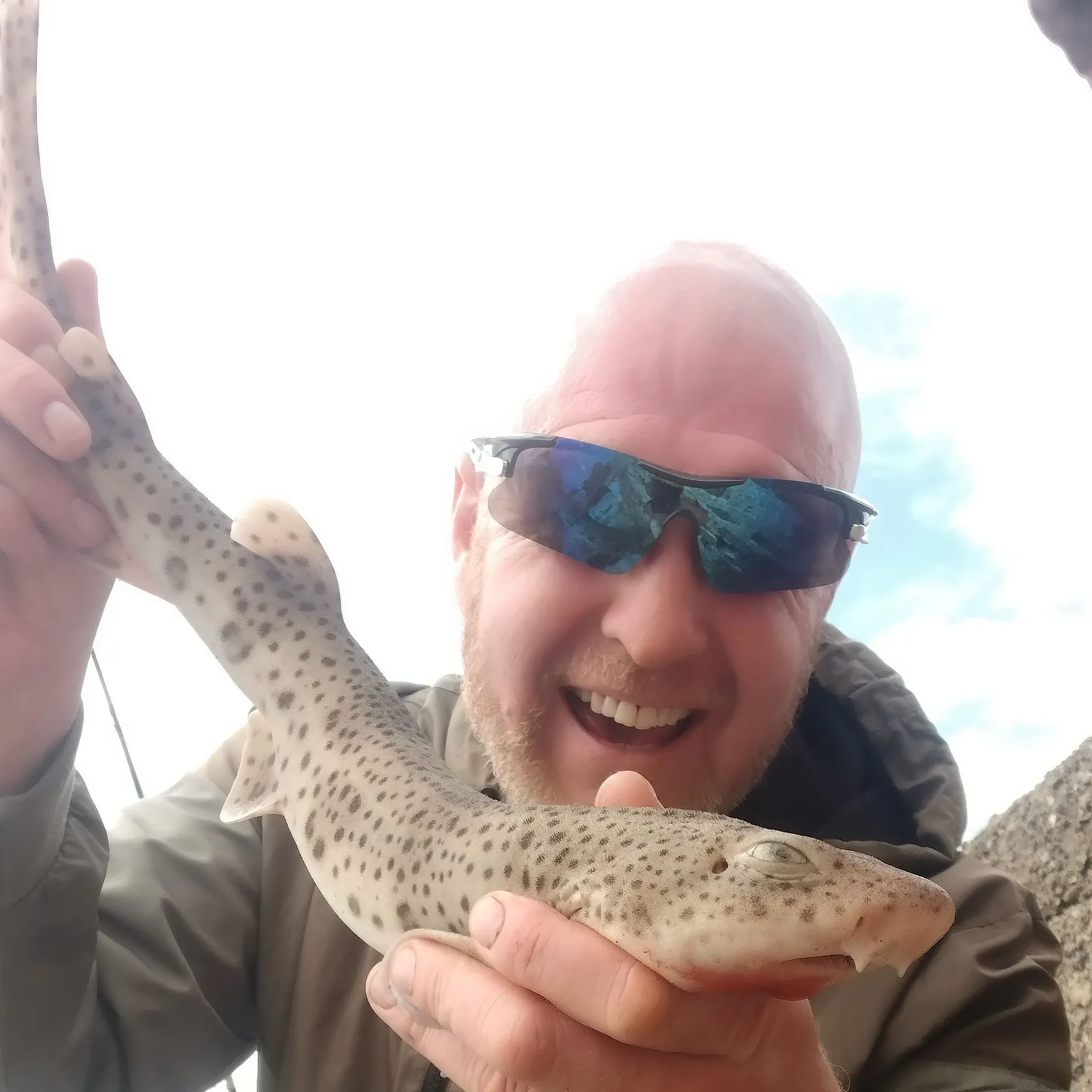 Nursehound caught on Fishbrain