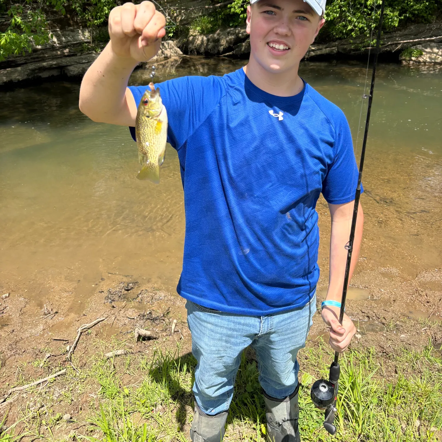The most recent Chain pickerel catches on Fishbrain
