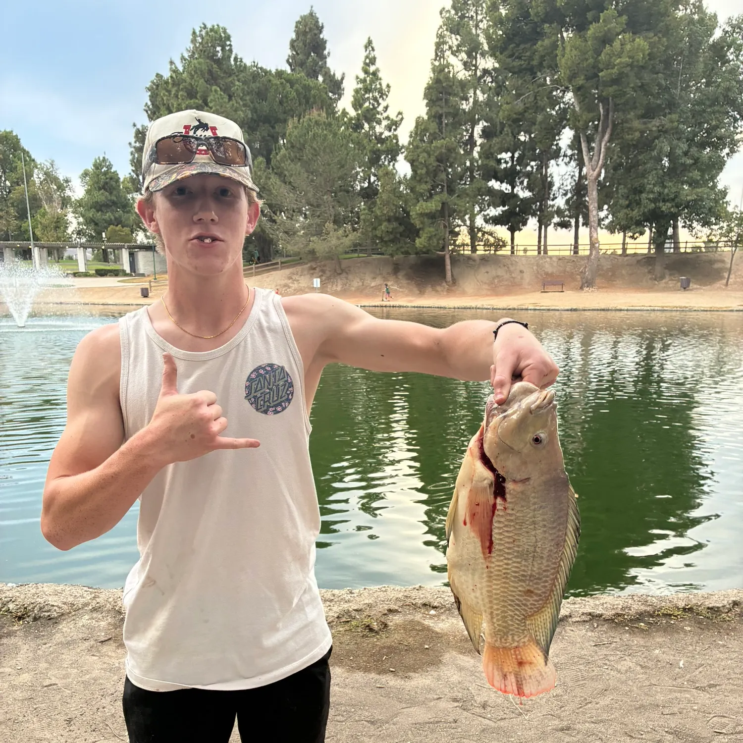 The most recent Mozambique tilapia catches on Fishbrain