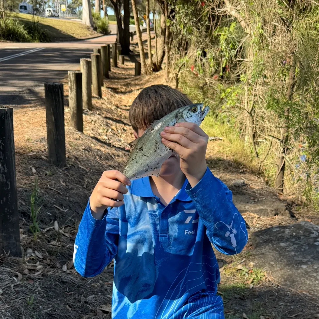 Bluefish caught on Fishbrain
