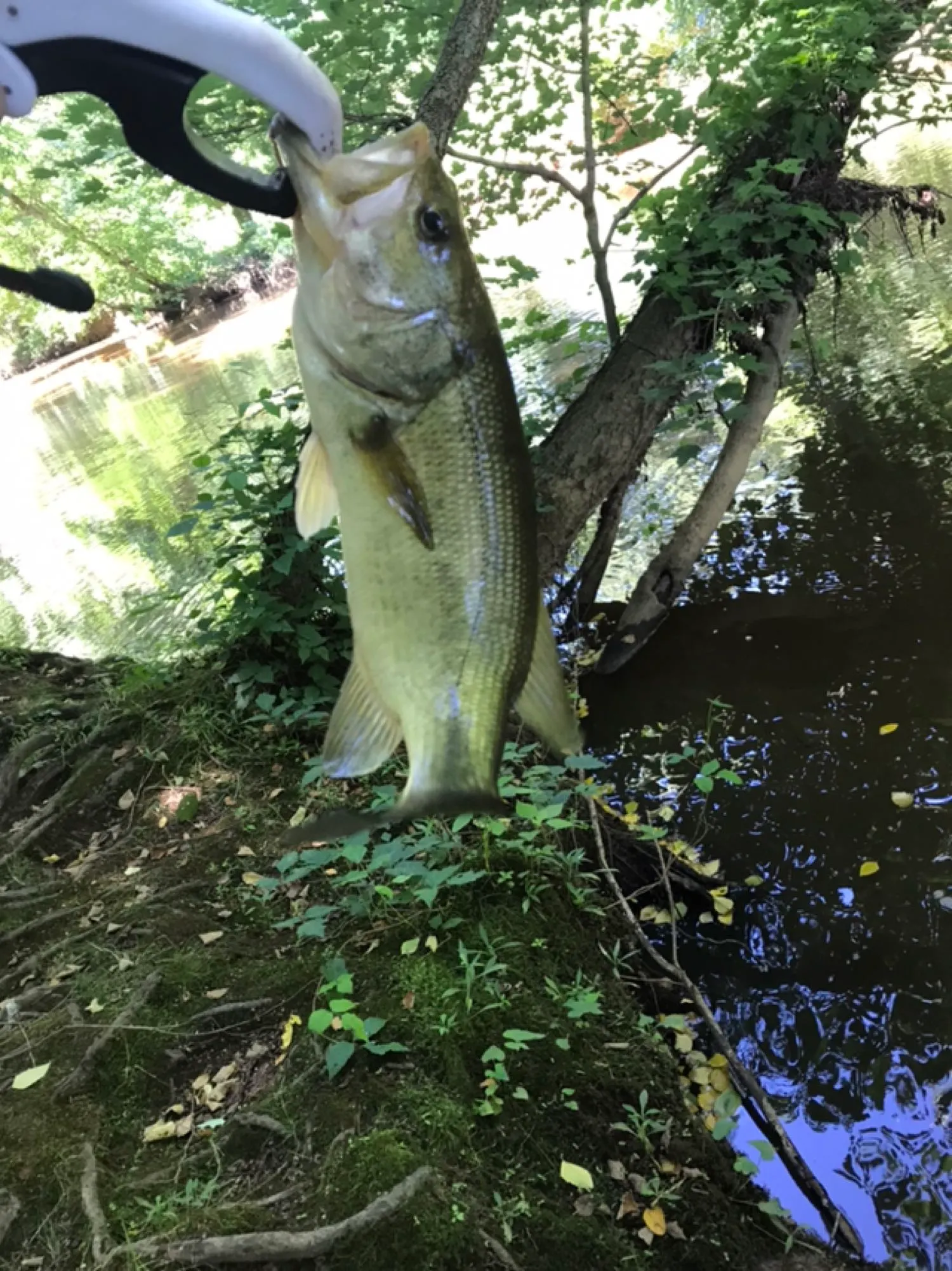 Post image from matt.andrews